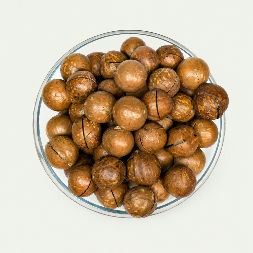Macadamia Nuts