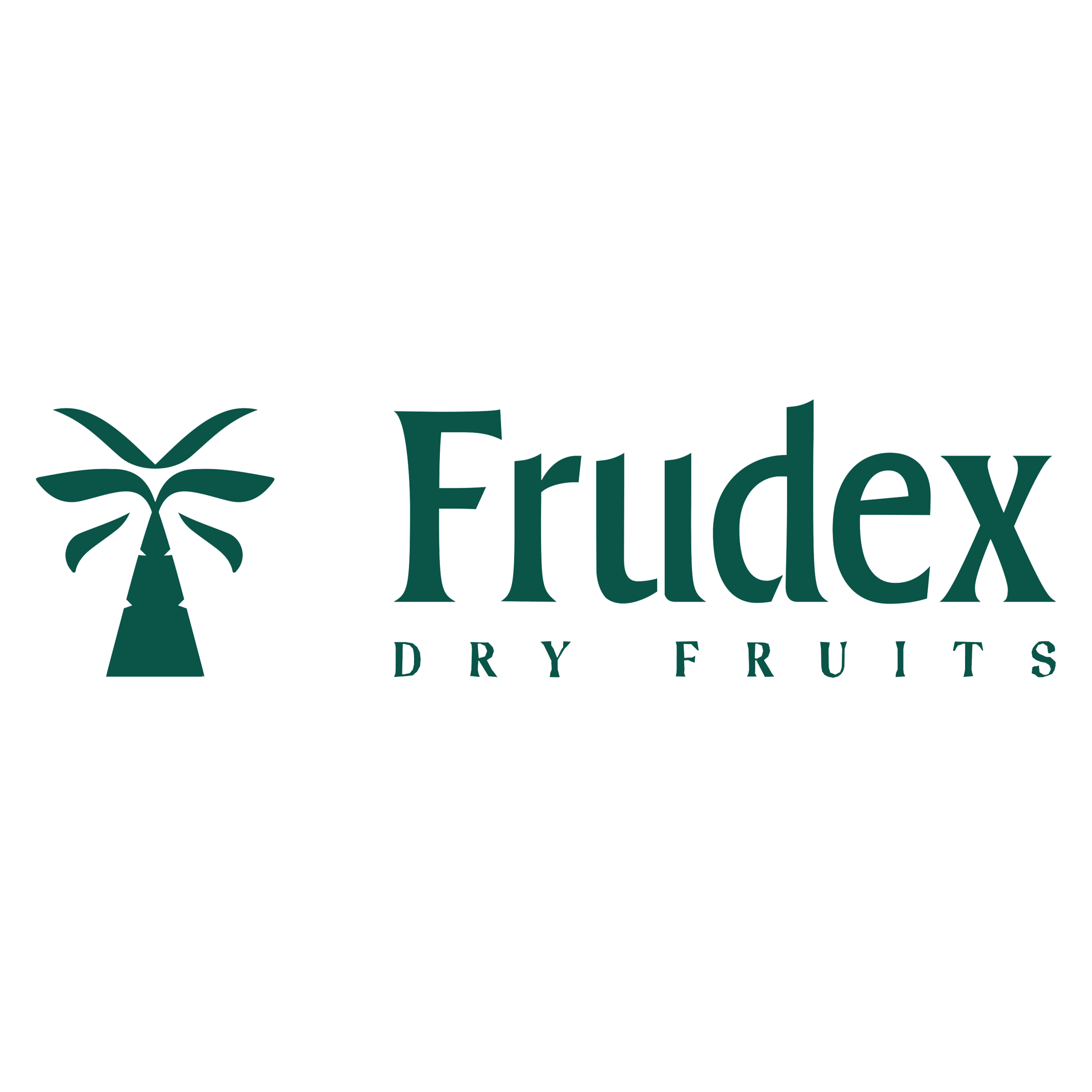 Frudex Dry fruits